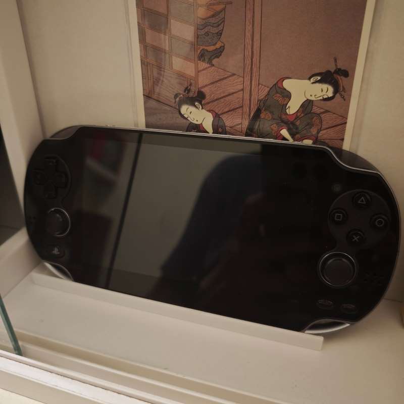 حامل وحدة تحكم الألعاب المحمول - مراجعة Gaming Console Organizer وسعره